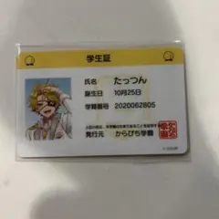 カラフルピーチ たっつん 学生証