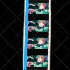 うたプリ　タブナイ　カルナイ　タブキス　コマフィルム　入場者特典　寿嶺二
