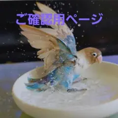 ✳️ご確認用ページ❇️