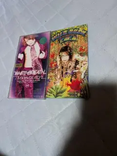 T.M.Revolution 8cmシングルCD
