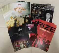 合計24枚セット Dragon Ash The BONEZ The Ravens