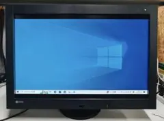 EIZO RadiForce RX440 液晶モニタ29.8 使用时间5300H