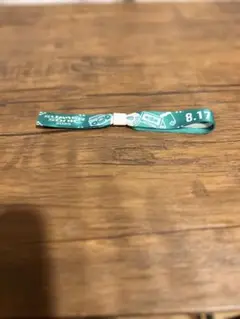 サマソニ東京リストバンド　8.17