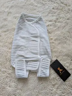 Item thumbnail for item 08ead98c-2f21-4436-b13e-409fdcc23cb0