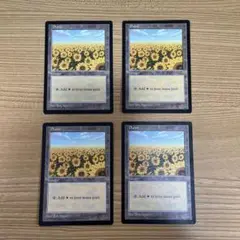 Amazon.co.jp: MTG APAC ランド ひまわり 平地① Plains Ron