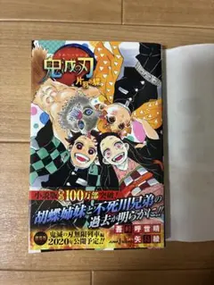 鬼滅の刃 片羽の蝶　小説