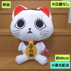 Item thumbnail for item fa07e70d-86f5-4a88-9322-c3ffe3eacae2