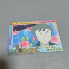 忍たま トレーディングカード 課外授業の段 立花 善法寺