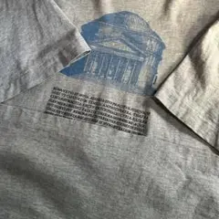 古着 SCREEN STARS ROMA Tシャツ XL フルーツオブザルーム