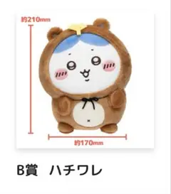 たぬきだもんくじ ハチワレ