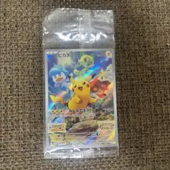 【匿名配送】【未開封】ピカチュウ みんなでぼうけん