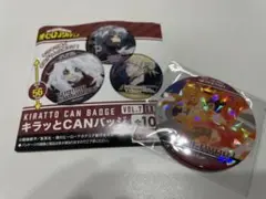 キラッとCANバッジ 缶バッジ エンデヴァー