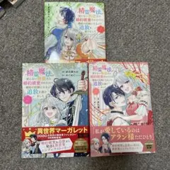 精霊魔法が使えない無能だと婚約破棄されたので、義妹の奴隷になるより追放を選びまし