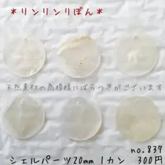 837【シェルパーツチャーム】1穴 ホワイトシェル