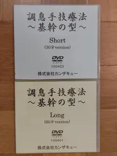 調息手技療法 整体DVD 基幹の型 2枚組