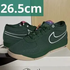 Nike Book 1 "Flagstaff" ナイキ ブック1 グリーン