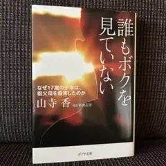 誰もボクを見ていない 山寺香