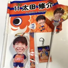 アルビレックス新潟 太田修介 11 28 ガラポン 湘南ベルマーレ