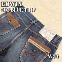 EDWIN 503 ブルートリップ ストレート ワイルドファイヤ W34 デニム