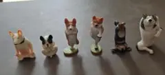 ヨガのポーズ犬　セット