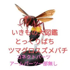 2025年最新】とっくりばちガチャの人気アイテム - メルカリ