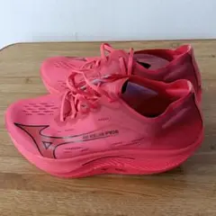 Mizuno Wave Rebellion PRO 2 　27.5cm