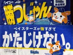【中古】横浜DeNAベイスターズ・東京ドーム限定タオル＊2枚