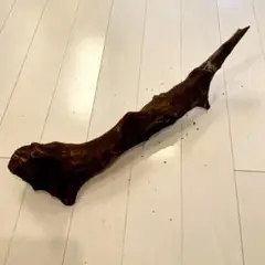 Item thumbnail for item e22249fb-789d-4a18-8186-2c2736db1047