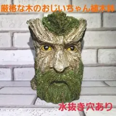厳格な木のおじいちゃんキャラクター植木鉢 大切な植物を守ってくれます！