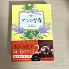 アンの青春 巻末訳註付
