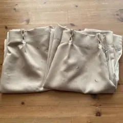 Item thumbnail for item 963c3ec6-dfa5-479e-ab3a-d414402ce9af