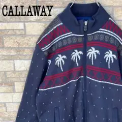 Item thumbnail for item b1bc9ed0-490c-46bb-9f72-2de4a25fdff8