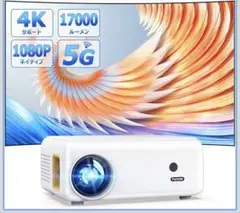 Item thumbnail for item d5d31576-836c-4987-8255-a4d59d67892b