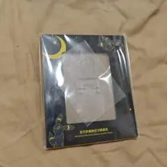 ディスプレイフレーム ブラッキー