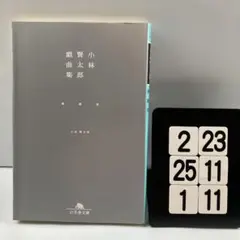 Item thumbnail for item 7e583412-7e06-4abf-b74c-27f154b35e1f