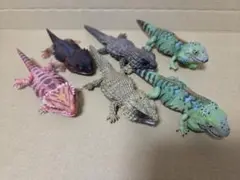 いきもの大図鑑　レプティ　まとめ売り