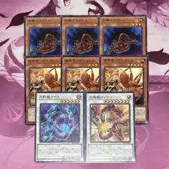 遊戯王　太陽龍インティ 月影龍クイラ セット