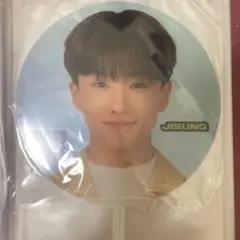 NCT DREAM チソン うちわ ドリショ