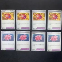 5052 ポケカ グッズ H ナモのみ&ハバンのみ 8枚セット