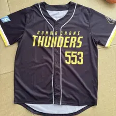 Item thumbnail for item e7f86e6d-a18d-40b1-b654-eb22910fb731