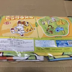 最終値下げ！！ポケットモンスター　プレミアム　ダイカット　ビッグタオル