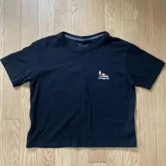 Patagonia リサイクルコットンTシャツ