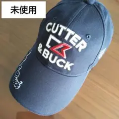 Item thumbnail for item 4f305382-1796-4bb0-b6ec-97d3e99cae8e