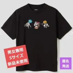 (新品未使用)パワーパフガールズ スーパーパワービッグシルエットTシャツ 刺繍