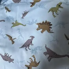 恐竜生地