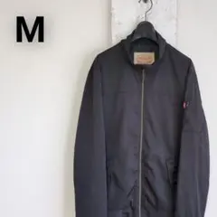 Item thumbnail for item bdb13465-ac1c-44a4-9ba0-057415bf954f