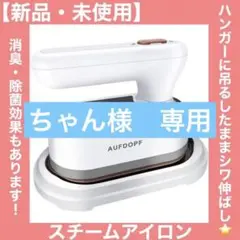 【訳あり】スチームアイロン 衣類スチーマー ハンガーにかけたまま シワ伸ばし