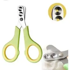 Item thumbnail for item e6bd0189-ca80-46fd-a771-bb2d1404bb7b