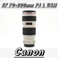 Item thumbnail for item 2208f464-7660-4074-aa26-5897fe71b863