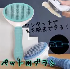 Item thumbnail for item 9ee0a12d-4304-4f99-8451-b50912b2ed77